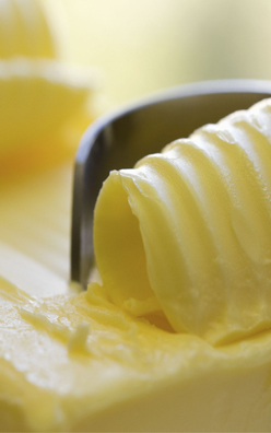 버터와 인조 버터 중의 지방 효소