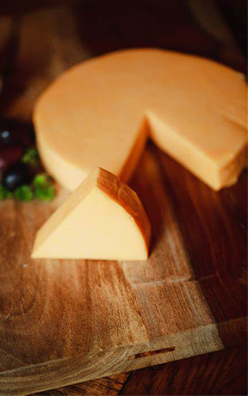 치즈 속의 지방 효소
