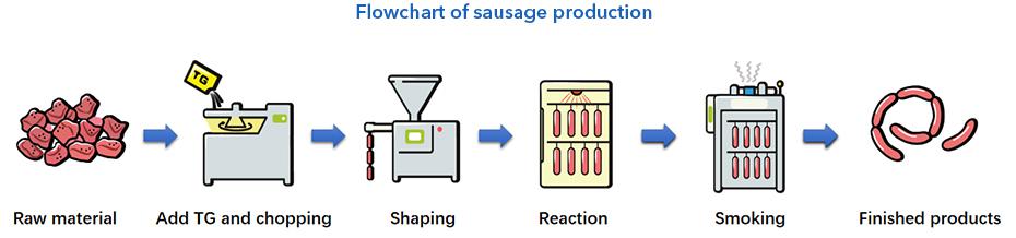TG-B 표준 아미노아미드 효소 측정 방법 Sausage